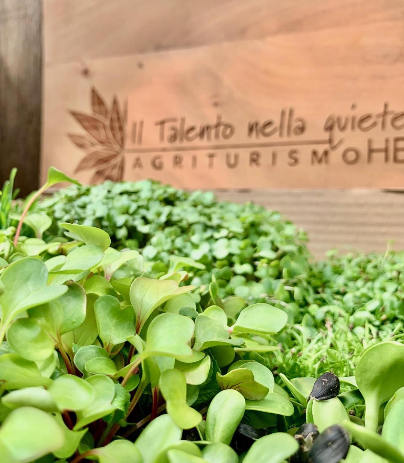 Agriturismo Il Talento Nella Quiete Castiglione d'Intelvi Bagian luar foto